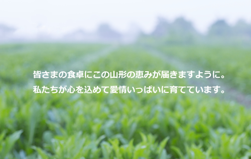 畑の写真